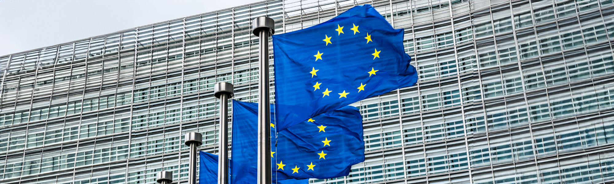 european union flags waving in the wind image